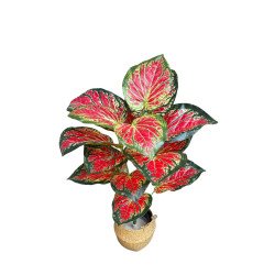 Planta Artificial Caladium Rojo 65cm Mayorista | Deko Hogar