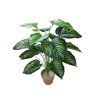 Planta Artificial Calathea 18 Hojas 65cm Mayorista Deko Hogar
